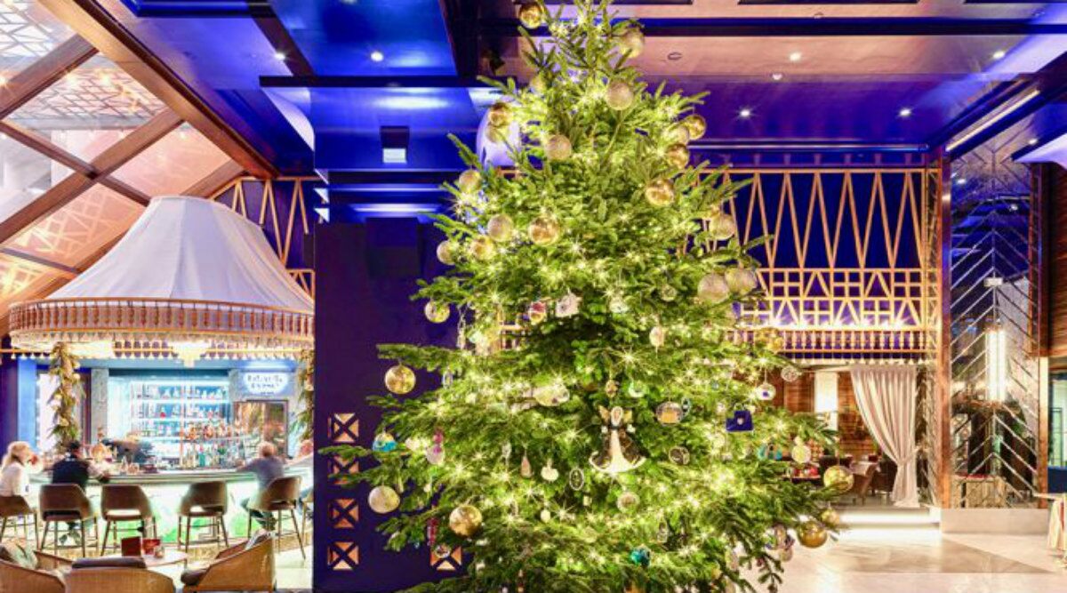 Christmas Tree With Gems and Ornaments Worth $ 15 Million at Spanish Resort Dazzles