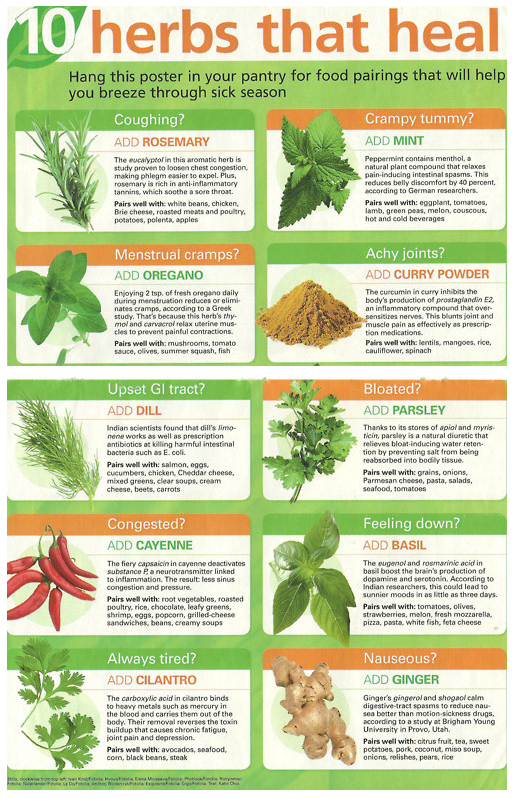 Herbs that Heal