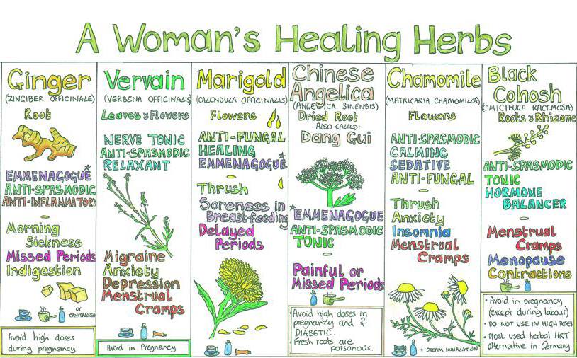Women Healing Herbs