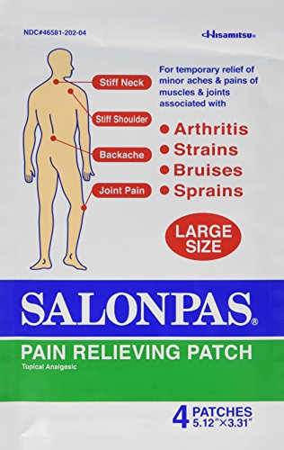 Salonpas Pain Relief Patches, Large, 20 Count