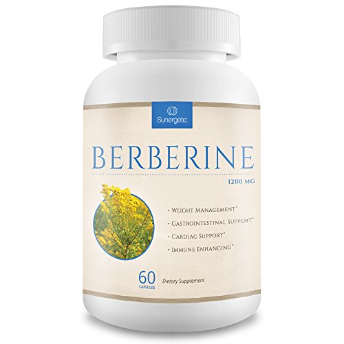 Premium Berberine Supplement -1,200 mg Per Serving - Berberine HCL Extract Helps Support Healthy Blood Sugar Levels, Digestion & Immunity - 60 Vegetarian Capsules