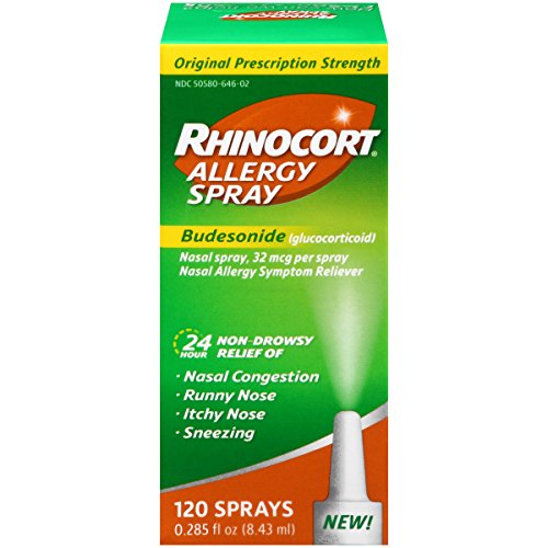 Rhinocort Allergy Nasal Spray, 24 Hour Relief, 120 Spray