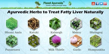 herbs for fatty acid
