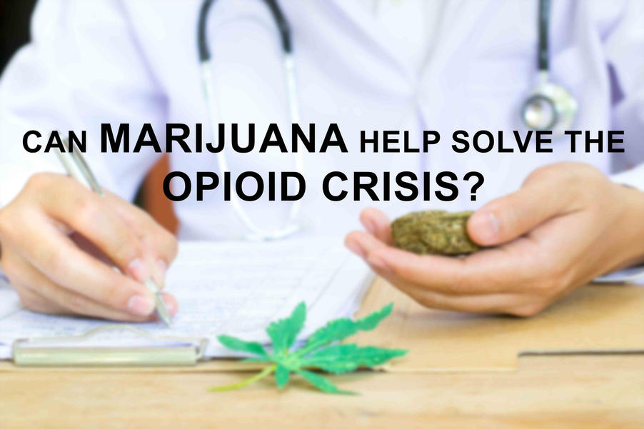 marijuana vs opioid pain meds