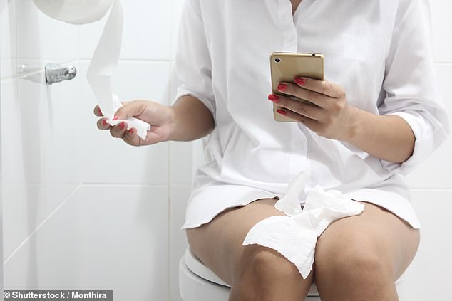 A survey of office workers even found two in five take their mobile phones into the bathroom of their workplace. Only 20 per cent cleaned their phone after taking it with them into the toilet [File photo]