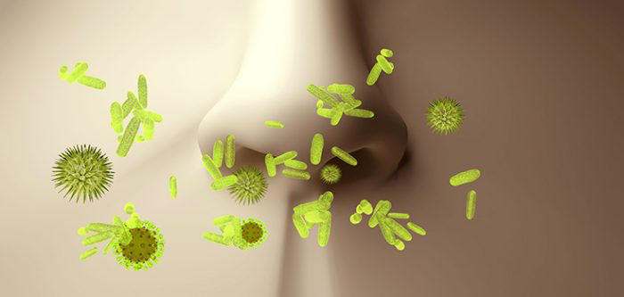 bacteria and your nose