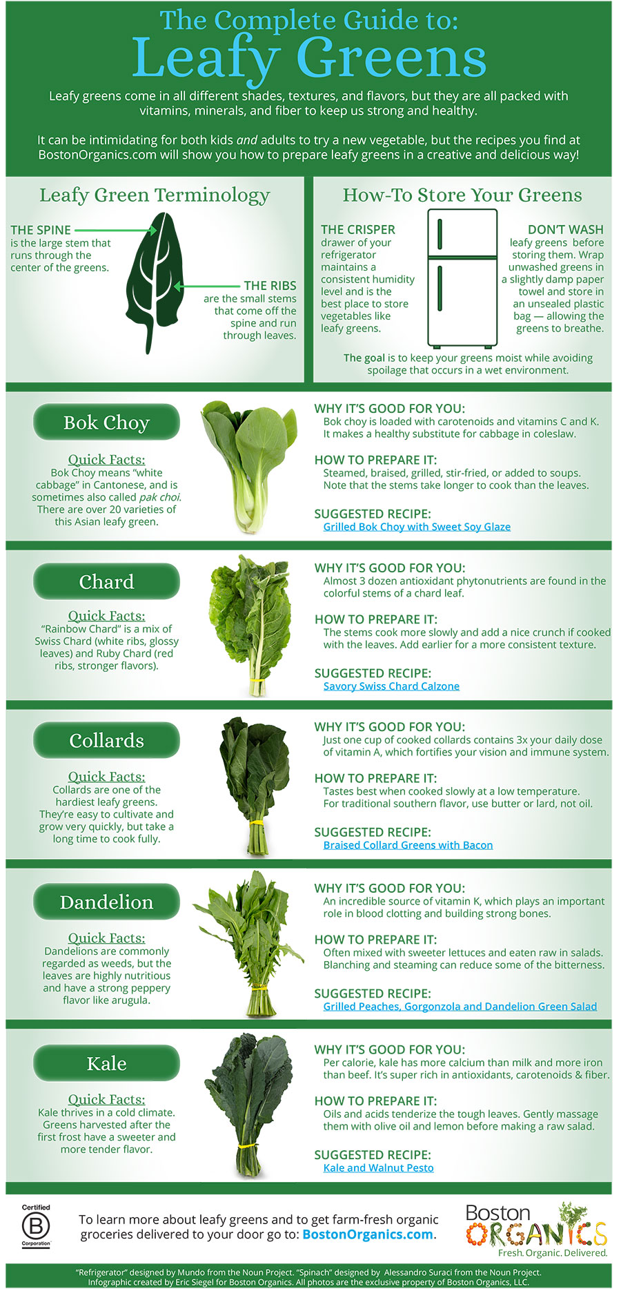Guide To Leafy Greens Infographic